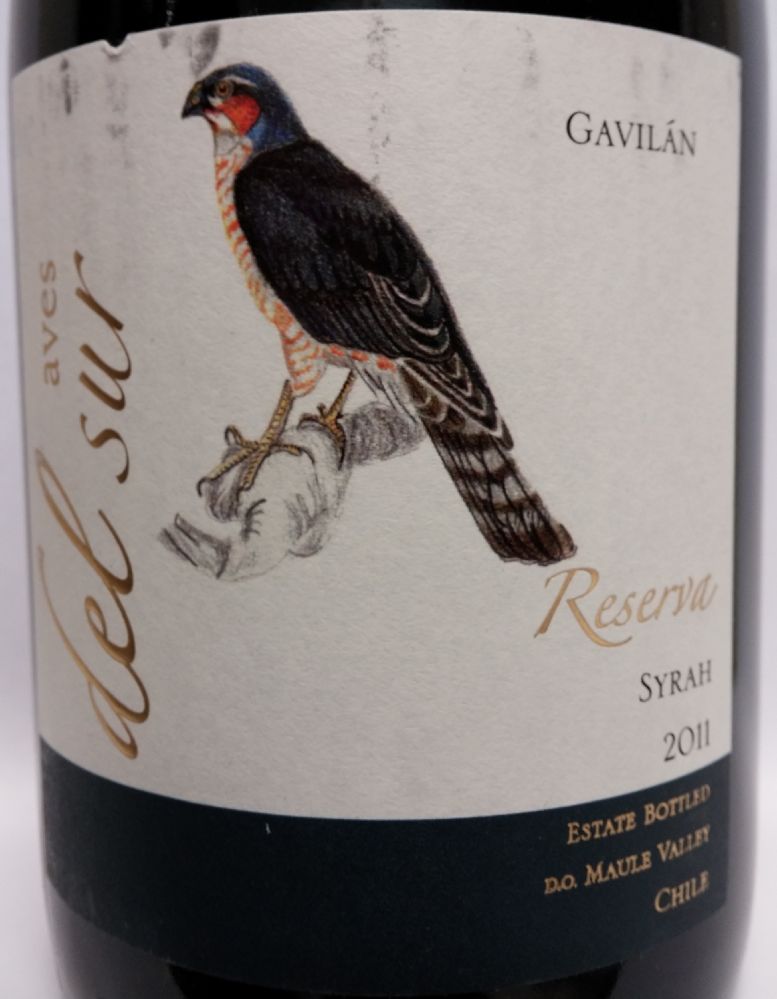 Viña del Pedregal S.A. Aves del Sur Gavilán Reserva Syrah 2011, Лицевая, #1074