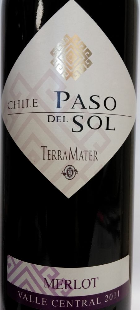 TerraMater S.A. Paso del Sol Merlot 2011, Лицевая, #1083