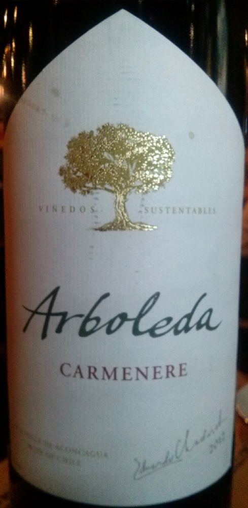 Viña Arboleda S.A. Carménère D.O. Aconcagua 2012, Лицевая, #1219