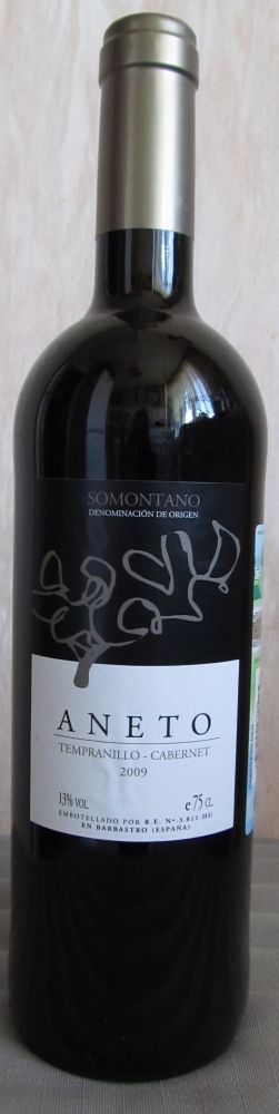 Bodega Pirineos S.A. ANETO Tempranillo Cabernet Sauvignon DO Somontano 2009, Лицевая, #15