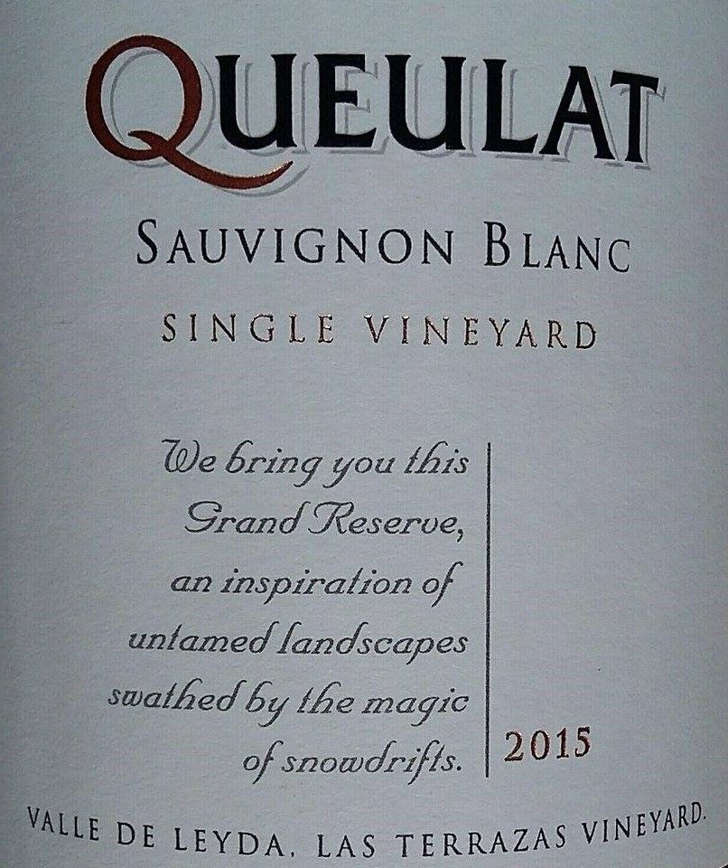 Viña Ventisquero Ltda Queulat Single Vineyard Gran Reserva Sauvignon Blanc Las Terrazas Vineyard Leyda Valley 2015, Основная, #3523