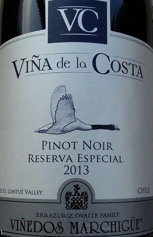 Viñedos Errazuriz Ovalle S.A. Viña de la Costa Reserva Especial Pinot Noir Lontue Valley 2013, Основная, #4140