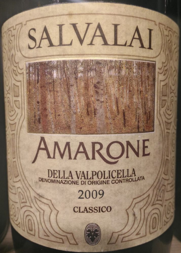 Cantine Salvalai S.r.l. Amarone della Valpolicella Classico DOCG 2009, Основная, #4459