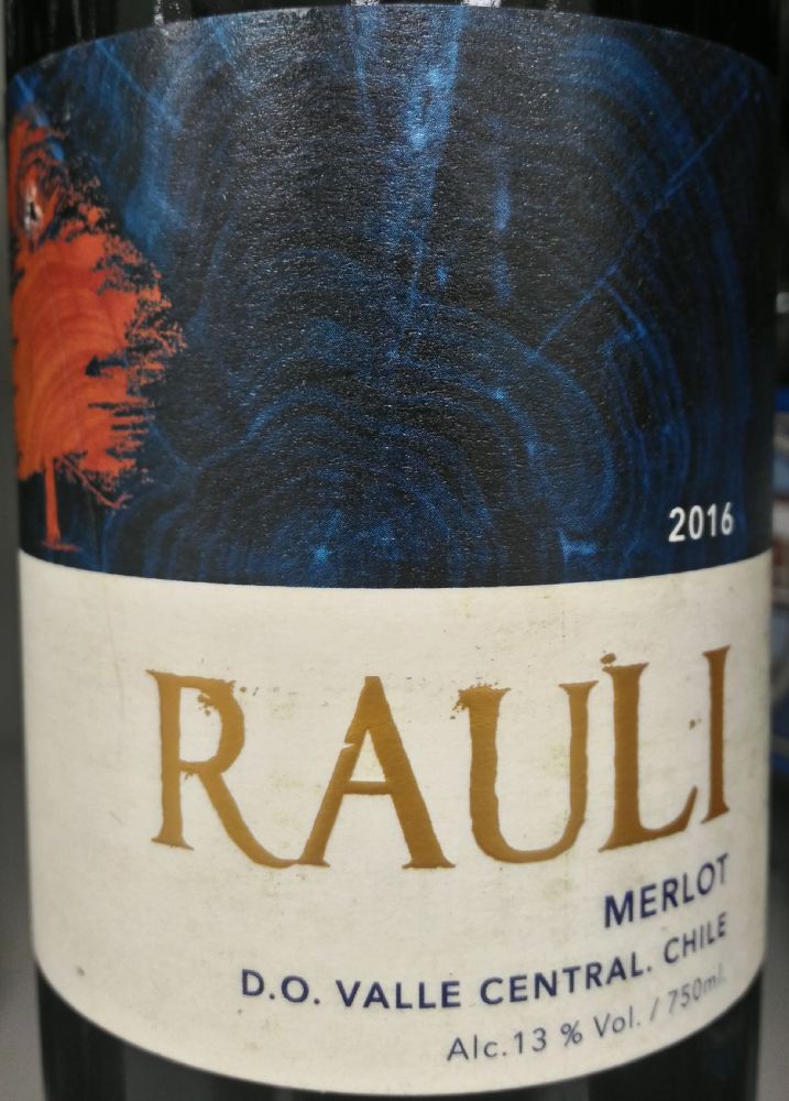 Bodegas y Viñedos de Aguirre S.A. Rauli Merlot 2016, Основная, #5576