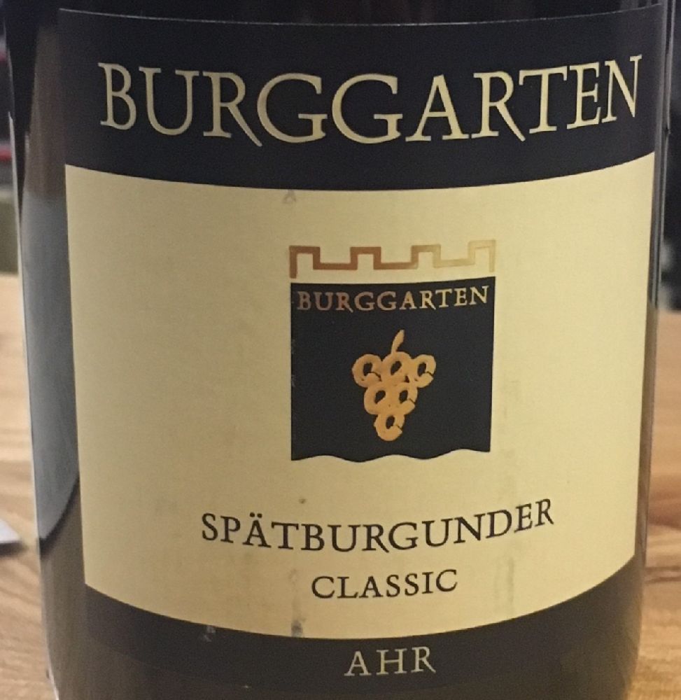 Weingut Burggarten Classic Spätburgunder 2015, Основная, #5997