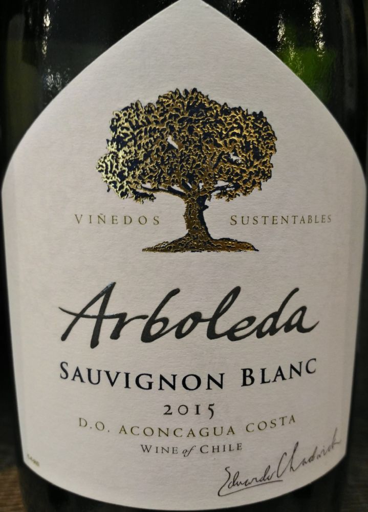 Viña Arboleda S.A. Sauvignon Blanc D.O. Aconcagua 2015, Основная, #6297