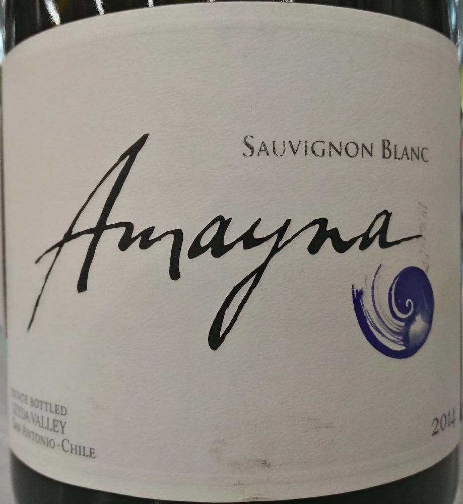 Viña Garcés Silva Limitada Amayna Sauvignon Blanc 2014, Основная, #7065