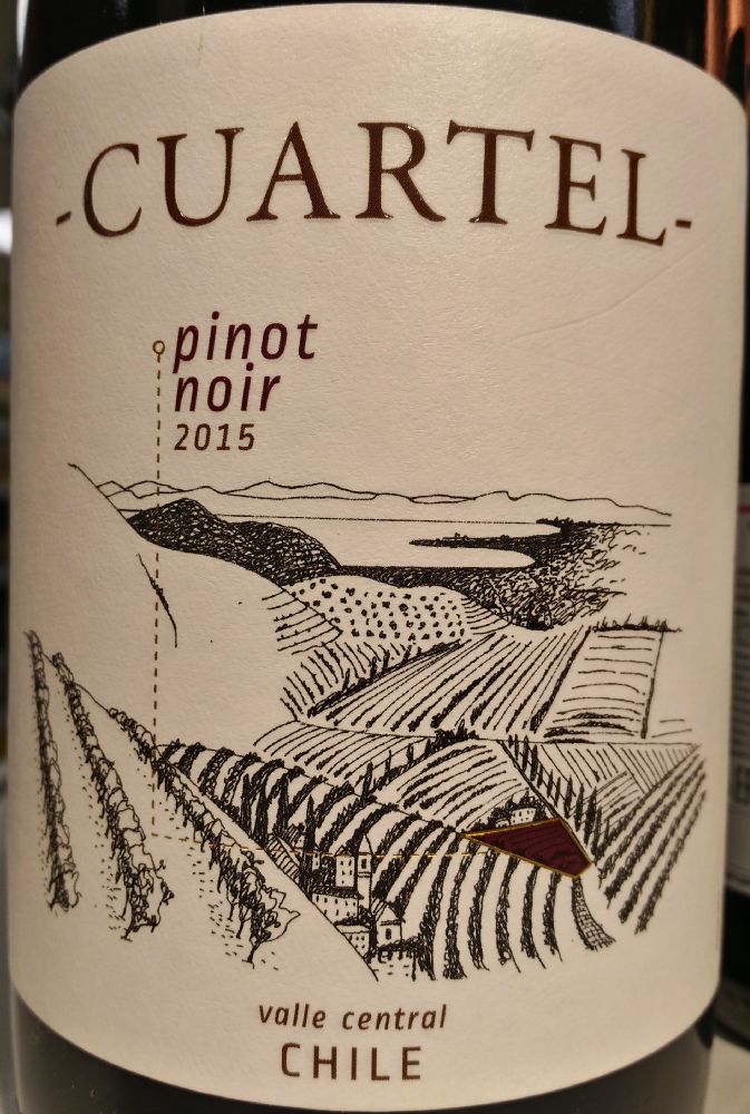 Bodegas y Viñedos Quinta de Maipo SpA Cuartel Pinot Noir 2015, Основная, #7222