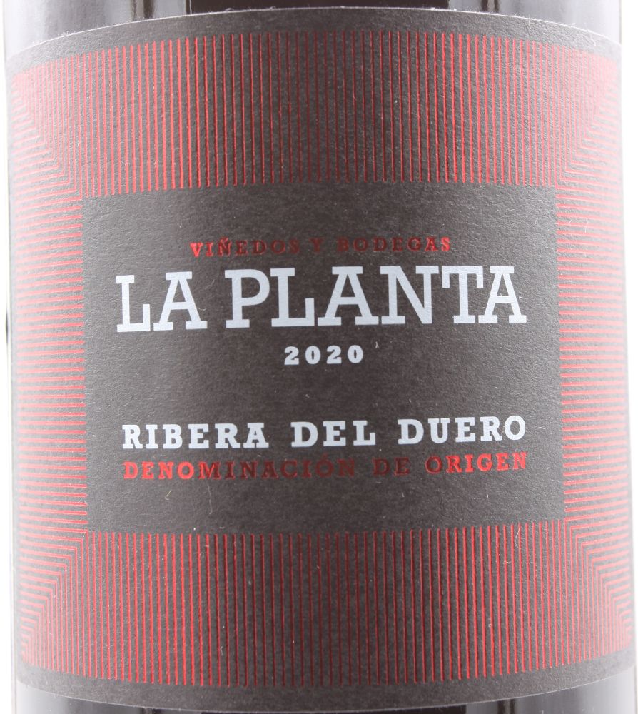 Bodegas Arzuaga Navarro S.L. La Planta DO Ribera del Duero 2020, Основная, #8922